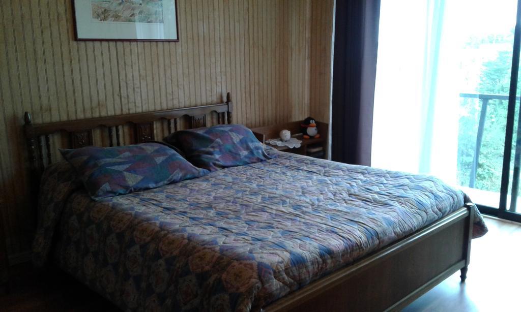 Patagonia Hostal Alojamiento Familiar 巴拉斯港 客房 照片